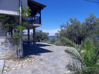 '' I FOLIA '' / ' 'LE NID '' - Agios Andreas - 5