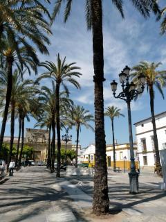 Azafran Jerez apartamentos - Jerez de la Frontera - 4