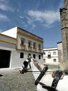 Azafran Jerez apartamentos - Jerez de la Frontera - 3