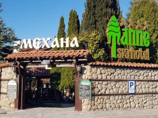 Hotel Tanne - Bansko - 5