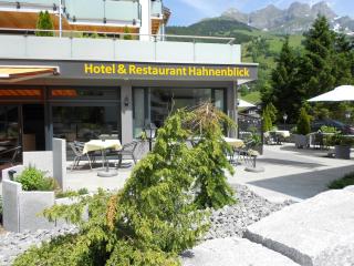 Hotel Hahnenblick - Engelberg - 9
