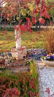 Agriturismo Il Magicorto - 9