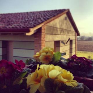 Agriturismo Bassanine - Monticelli dʼOngina - 9