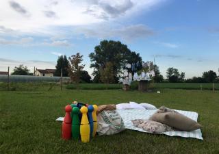 Agriturismo Bassanine - Monticelli dʼOngina - 2
