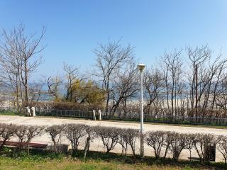 Casa Kogalniceanu - 4