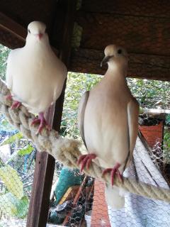 Les Chambres d'Helix - 8