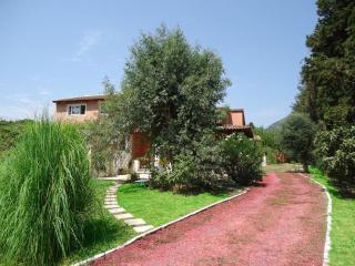 Errika - Ipsos - 1