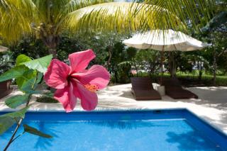 Sotavento Hotel & Yacht Club - Cancun - 8