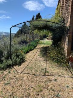 Agriturismo Montaperti - Volterra - 1