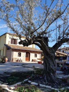 Il Focolare B&B - Casa Ottani - 0