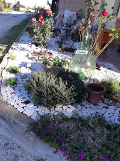 Il Focolare B&B - 1