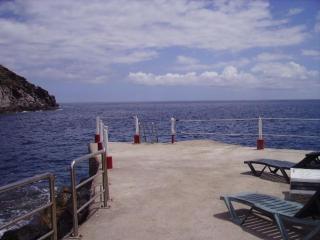 marazul del sur - Adeje - 1