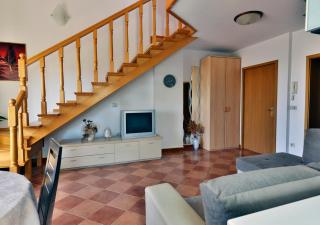 App Cerneka - Umag - 5