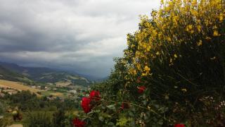 Nido D'Ape bed and breakfast - Montepetra - 8