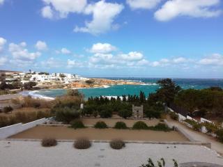 Nesaea seafront house - Parasporos - 7