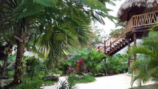 Zamunda Garden View - Tulum - 6