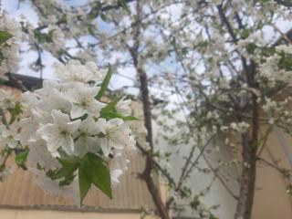 City Hostel Dushanbe - 1