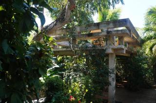 Apartments Chez Milady - Utila - 1