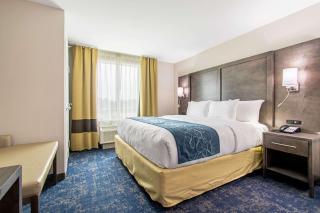 Comfort Suites Humble Houston IAH - Humble - 4