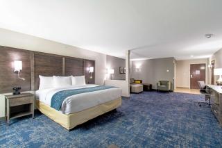 Comfort Suites Humble Houston IAH - Humble - 7
