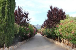 Ca's Garriguer - Valldemossa - 1
