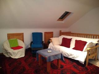 tranquil apartment near Kenmare - Lomanagh - 7