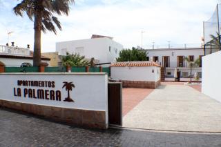 Apartamentos La Palmera - Conil de la Frontera - 8