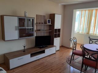 Apartament Unirii Belvedere - Baia Mare - 9