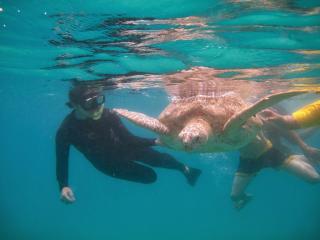 Perhentian Chomel Chalet - Isole Perhentian - 7