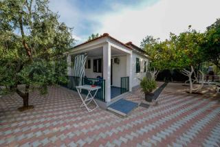 Residence Dattoli - Peschici - 4