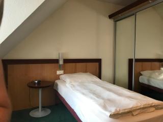 Hotel Gasthof Grüner Wald - Hofheim am Taunus - 6