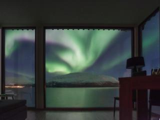 Aurora Distillery Cabins - 4