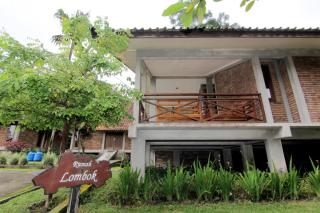 Disaster Oasis - Kaliurang - 4
