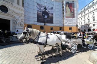 Sobieski Maisonette Apartments - Vienna - 5