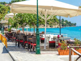 Xenios Dolphin Beach Hotel - Possidi - 4