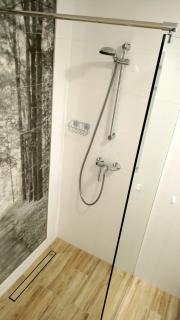 Apartament 4 przy Parku Leśnym - 1