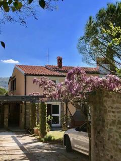 Apartment Boreas - Strunjan - 5