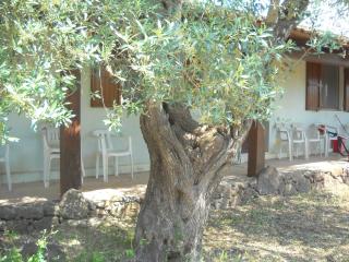 Agriturismo Su Tiresi - Cala Gonone - 7