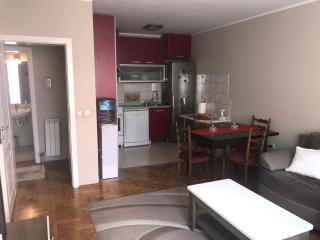 Apartman AS - Belgrado - 1