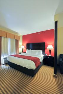 Comfort Suites Columbus East Broad - Columbus - 9