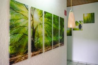 Gasthaus Bethlehem - Dornbirn - 8