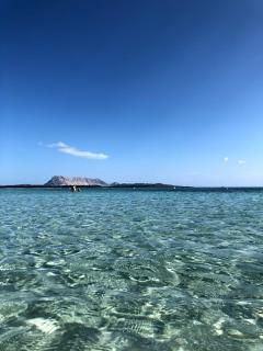 Bilocale Residence Gli Ulivi San Teodoro - San Teodoro - 6