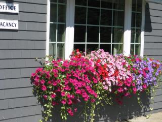Mid-Town Motel - Boothbay Harbor - 6