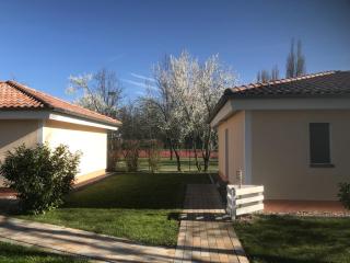 Ferienpark Senftenberg - 8