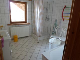Muschel - Riepsdorf - 7