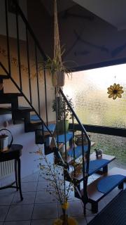 Ferienwohnung Fiehn - Schwedt-sur-Oder - 9