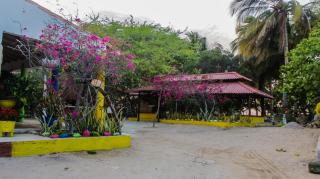Playa Samara Hostel - 3