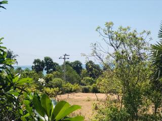 Temple Flower Guest - 1