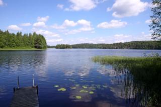 Mäkelän Lomatuvat Cottages - Korkeakoski - 4