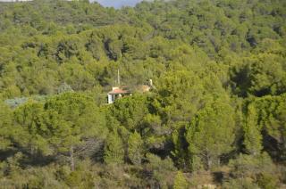 La petite Cigale - Cesseras - 0